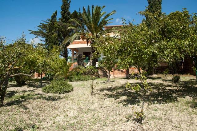Casa Vacanze Palma 레알몬테 외부 사진